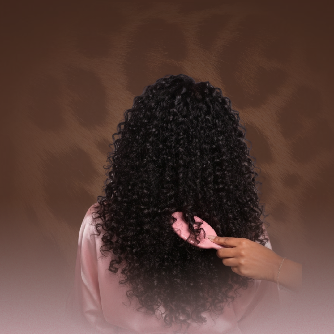 Burmese Curly